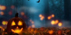 Why Not Study A Spooky Course with learndirect this Halloween?